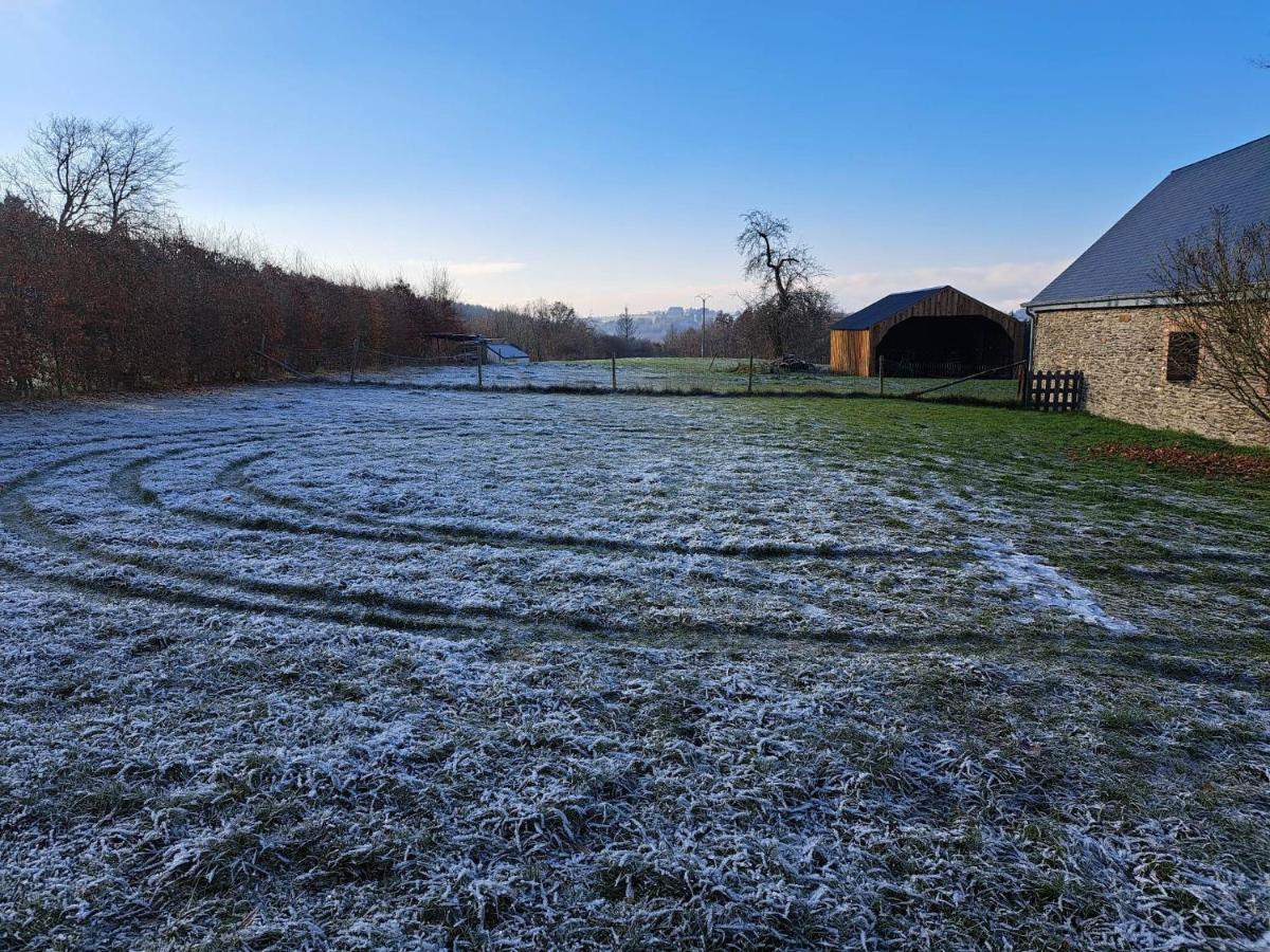 Gite L'Olivier A Filly - Nadrin, Entre Houffalize Et La Roche-En-Ardenne Exteriér fotografie
